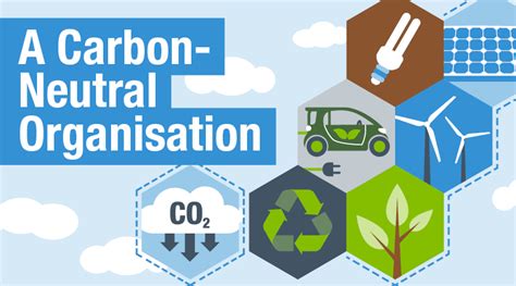 Carbon removals: Extra measures to reach climate neutrality  